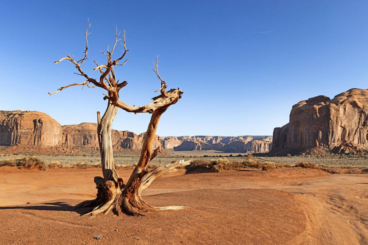 Arizona, Monument Valley, Sandstone Rocks