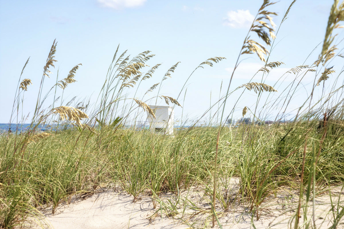 Florida, South Florida, Singer Island, Ocean Reef Park, Lifeguard Station