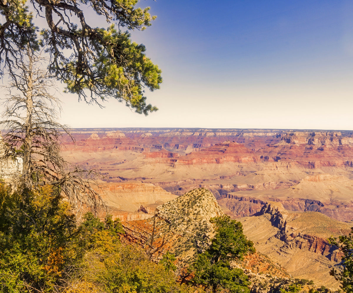 Arizona, Grand Canyon National Park – A Beautiful View