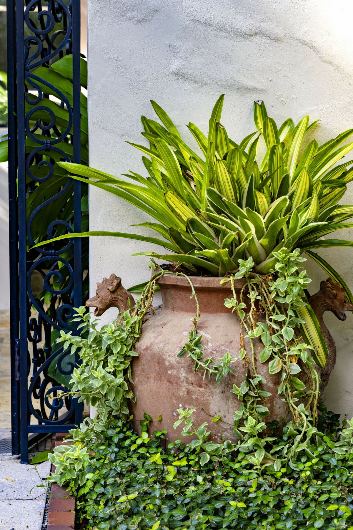 Decorative Potted Plant
