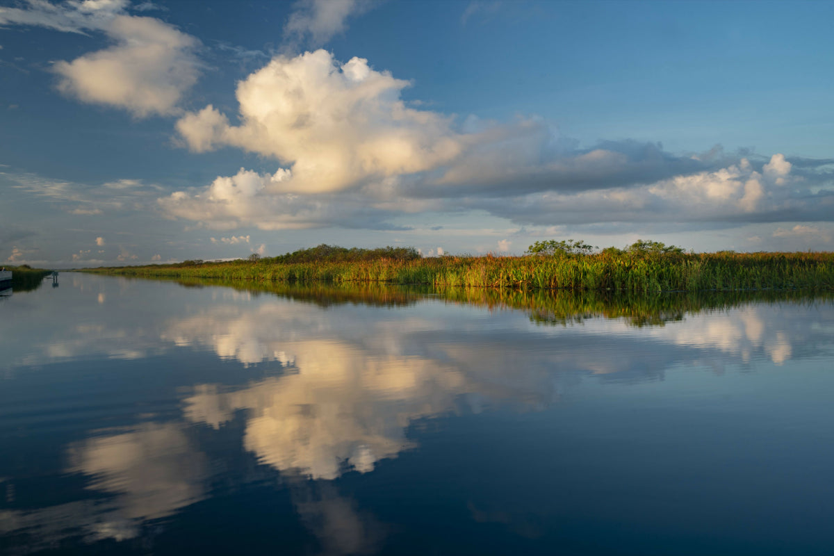 Florida, Everglades, Arthur R. Marshall Loxahatchee Wildlife Refuge
