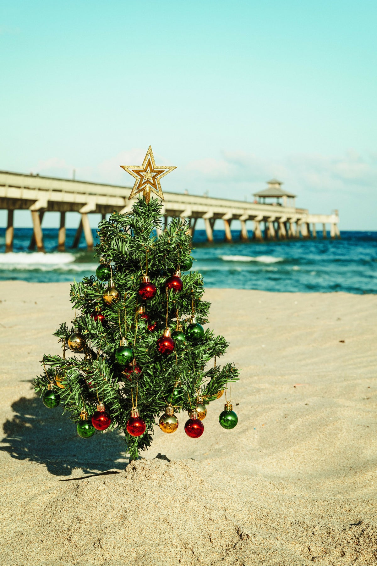 Christmas Tree on the Beach with Pier in Background