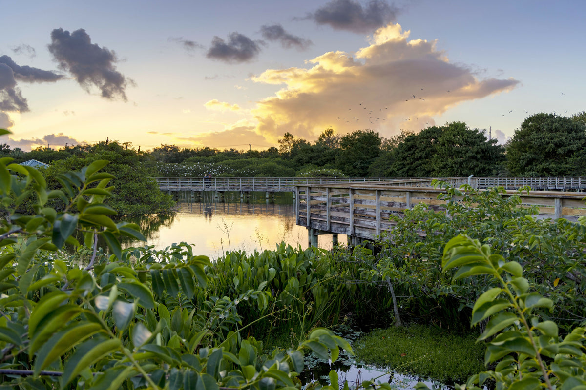 Florida, Delray Beach, Wakodahatchee Wetlands